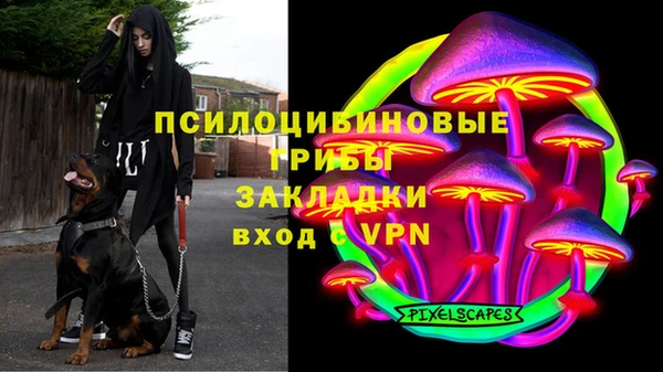 a pvp Вязьма