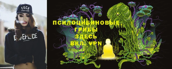 прущий лед Волосово