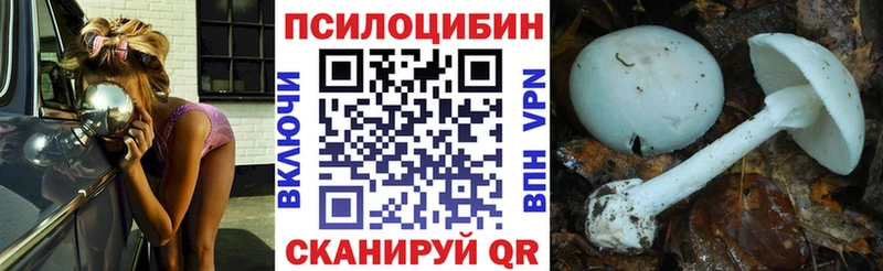 Галлюциногенные грибы Psilocybe Ангарск