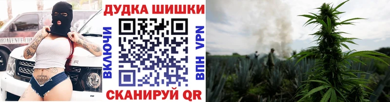 Марихуана OG Kush  Ангарск 